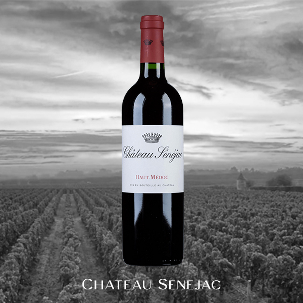 Chateau Senejac