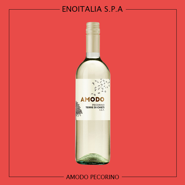 Amodo Pecorino . 아모도 페코리노